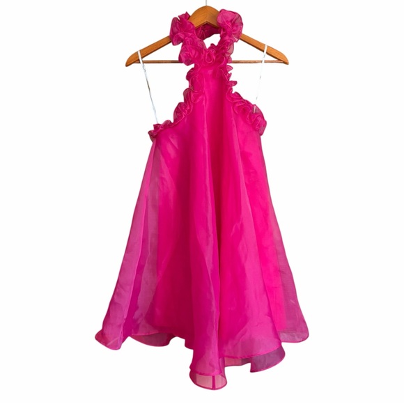Lulus Hot Pink Organza Ruffled Halter Mini Dress Size S Barbiecore - Picture 2 of 7